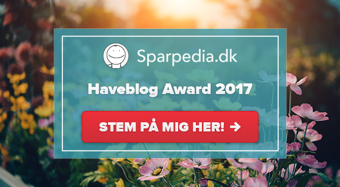 Haveblog Award 2017